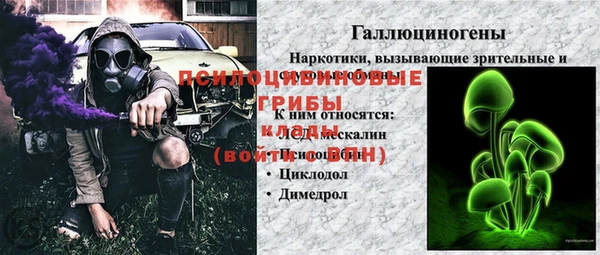 индика Алексин