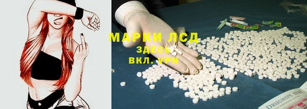 индика Алексин