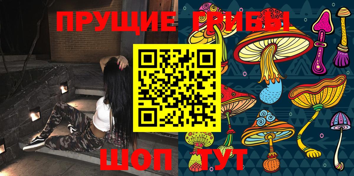 Галлюциногенные грибы прущие грибы Кострома