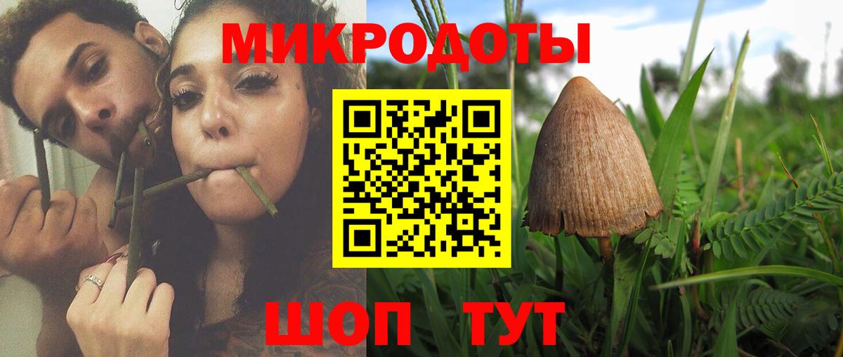 Кострома  Псилоцибиновые грибы MAGIC MUSHROOMS  Вход с VPN  Псилоцибиновые грибы ЛСД 